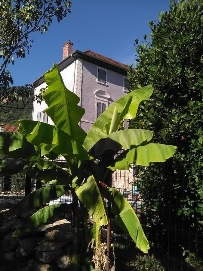 Hotel A Deux Pas Du Rheby Villebois Exteriér fotografie